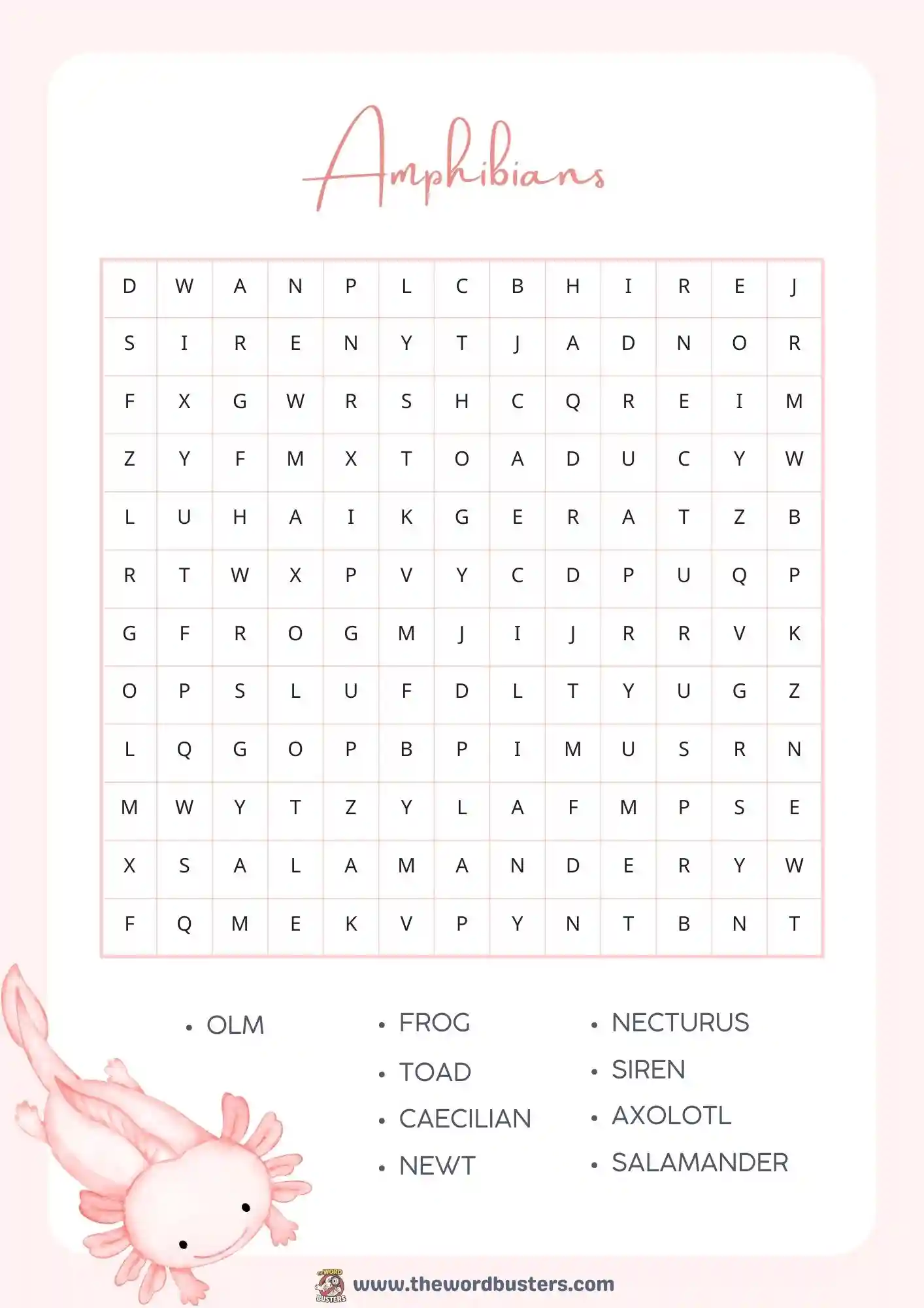 amphibians word search printable